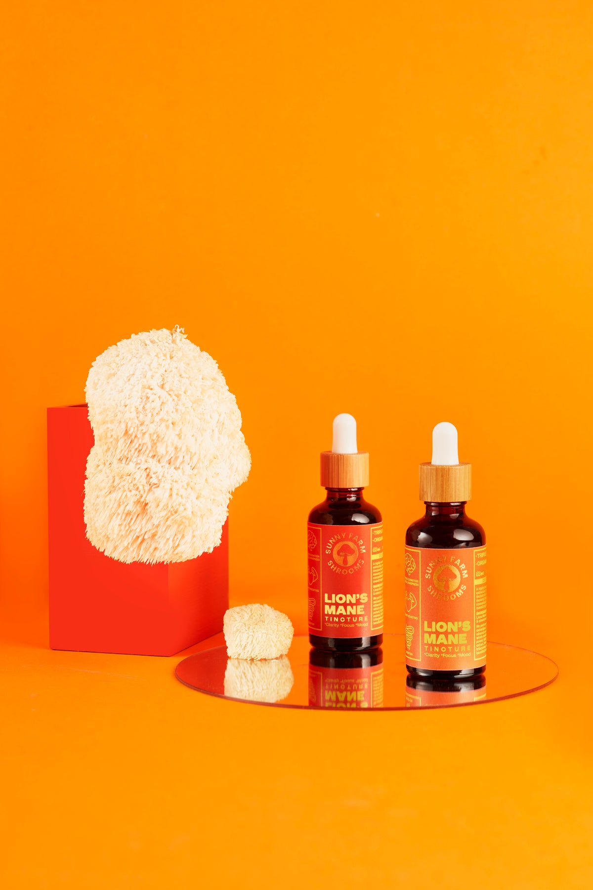 Sunny Farm Shrooms Lion’s Mane Tincture 50ml bottles